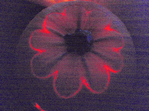jackolantern