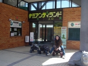 andyland