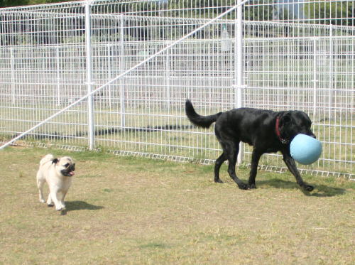 IMG_5846zoom.jpg