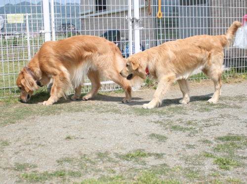 IMG_5860zoom.jpg
