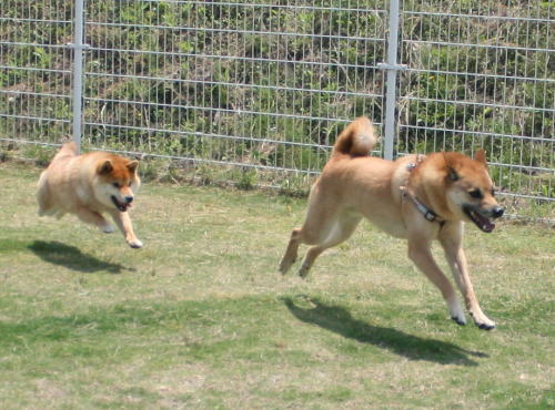 IMG_5889zoom.jpg