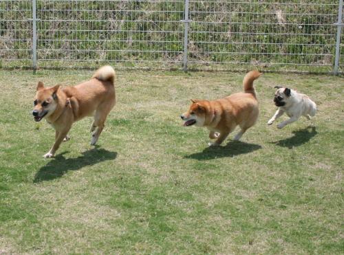 IMG_5893zoom.jpg