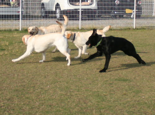 IMG_5932zoom.jpg