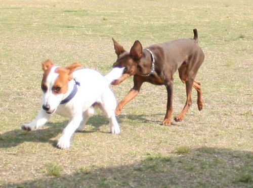 IMG_5923zoom.jpg