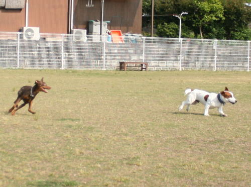 IMG_5925zoom.jpg