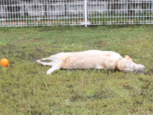 IMG_2379zoom.jpg
