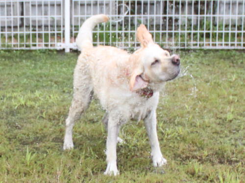 IMG_2381zoom.jpg