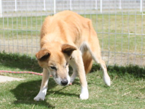 IMG_2412zoom.jpg