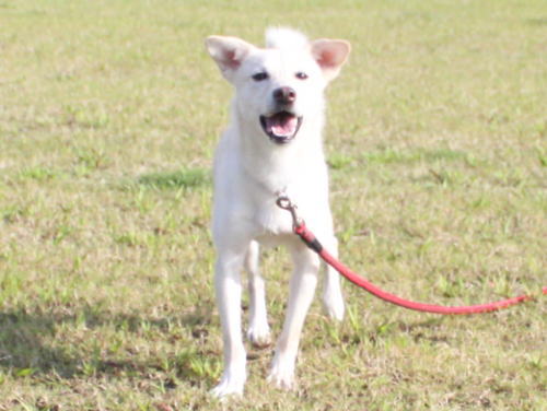 IMG_2498zoom.jpg