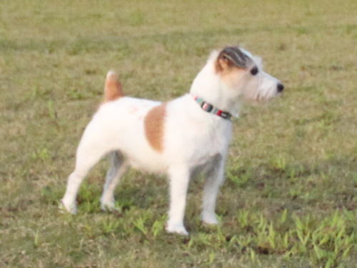 IMG_2527zoom.jpg