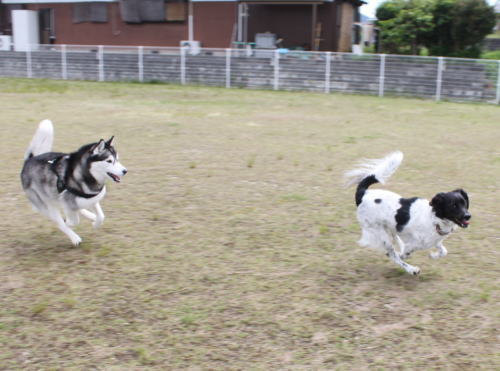 IMG_7471zoom.jpg