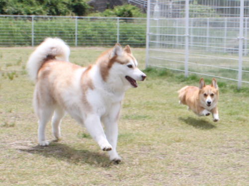 IMG_7513zoom.jpg
