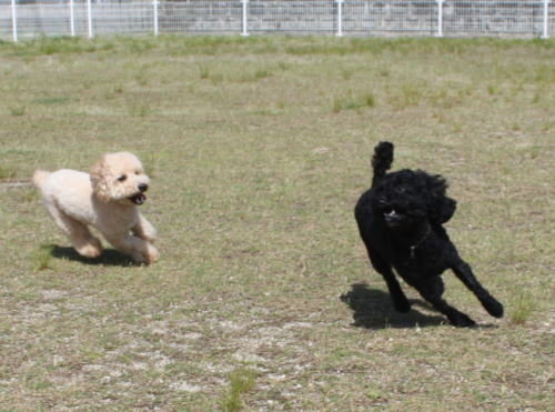 IMG_7524zoom.jpg