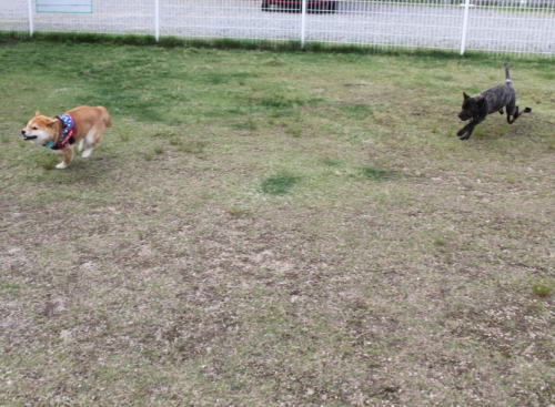 IMG_7560zoom.jpg
