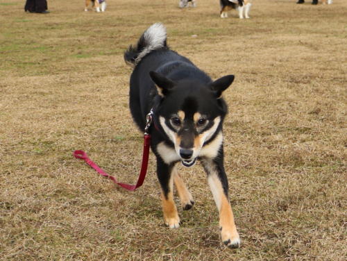 IMG_0147zoom.jpg
