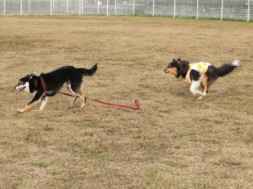 IMG_0157zoom.jpg