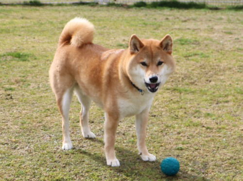 IMG_2367zoom.jpg