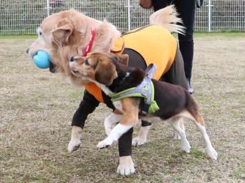 IMG_2424zoom.jpg