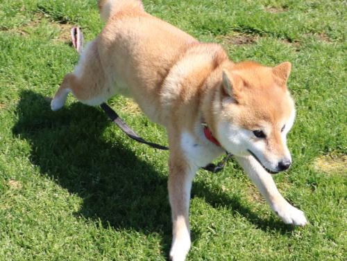 IMG_3493zoom.jpg