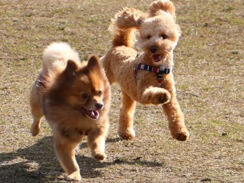 IMG_3543zoom.jpg