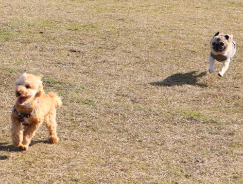 IMG_3551zoom.jpg