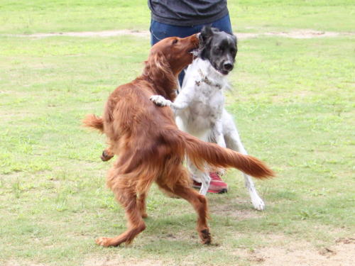 IMG_5647zoom.jpg