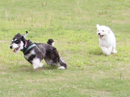 IMG_5722zoom.jpg