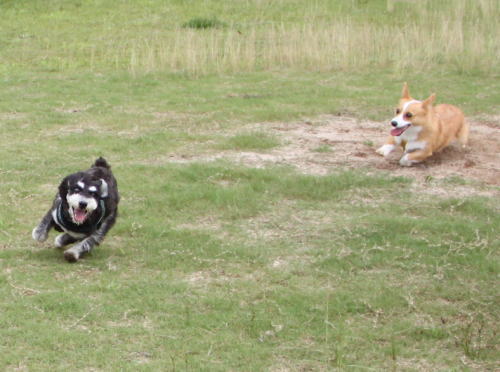 IMG_5729zoom.jpg