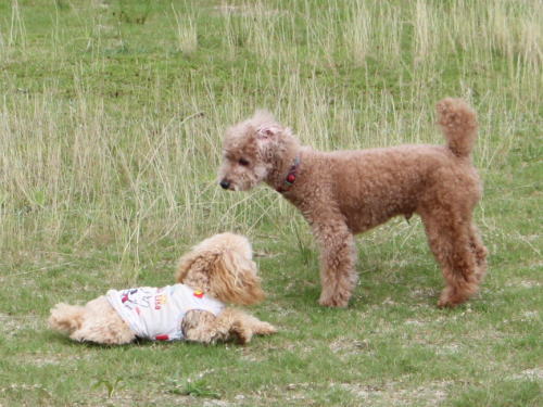IMG_5780zoom.jpg