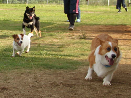 IMG_5812zoom.jpg