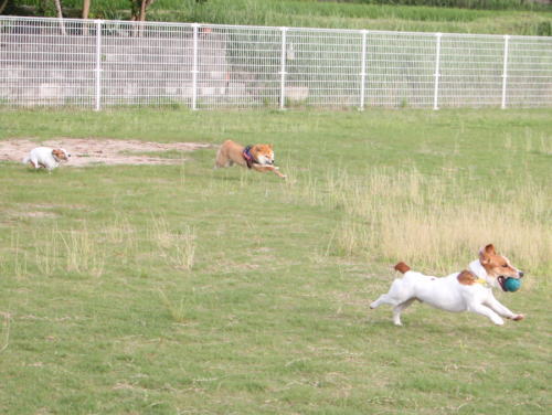 IMG_5836zoom.jpg