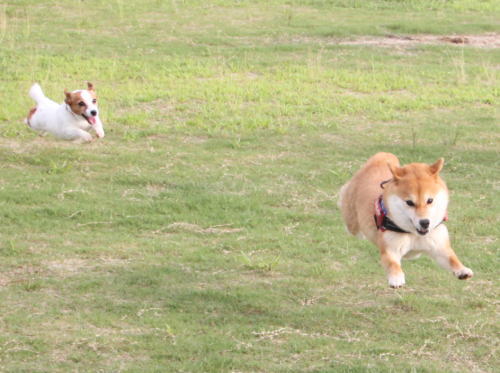 IMG_5840zoom.jpg