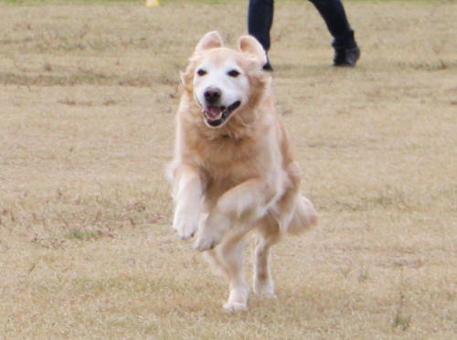 IMG_5230zoom.jpg