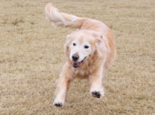 IMG_5234zoom.jpg