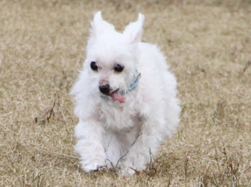 IMG_5244zoom.jpg