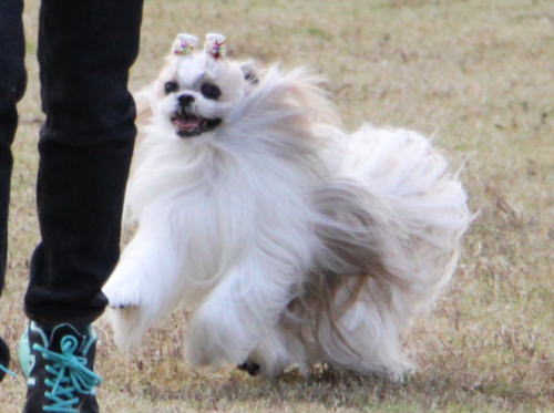 IMG_5249zoom.jpg