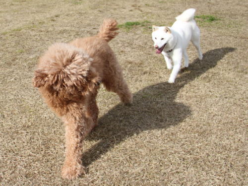IMG_7980zoom.jpg