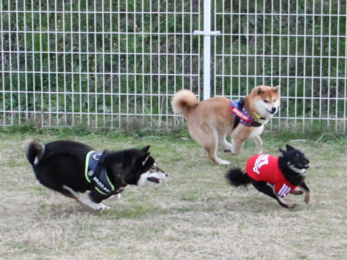 IMG_8075zoom.jpg
