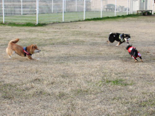 IMG_8077zoom.jpg