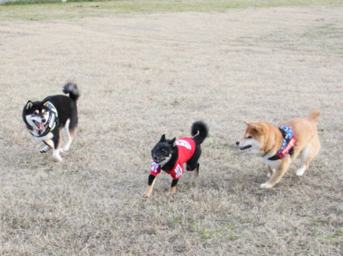 IMG_8088zoom.jpg
