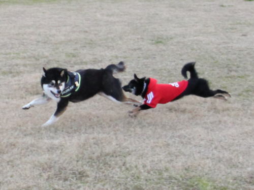 IMG_8094zoom.jpg