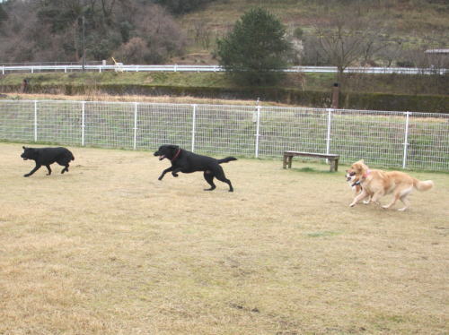 IMG_0170zoom.jpg