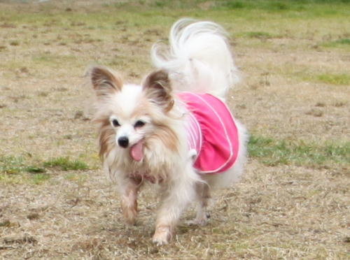 IMG_0173zoom.jpg