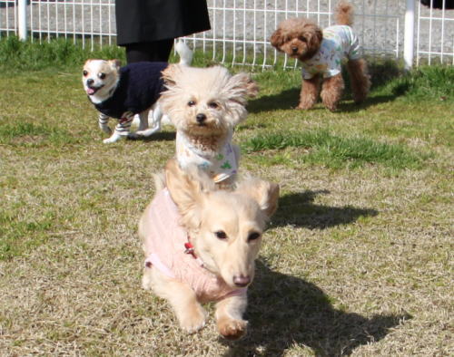 IMG_0193zoom.jpg