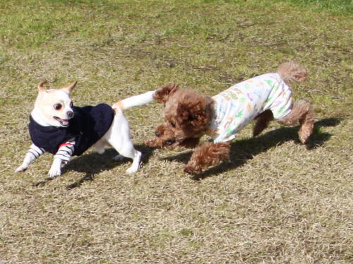 IMG_0196zoom.jpg