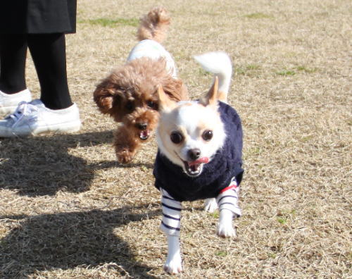 IMG_0197zoom.jpg