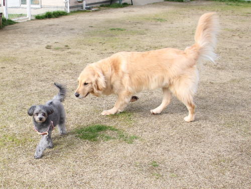 IMG_0213zoom.jpg