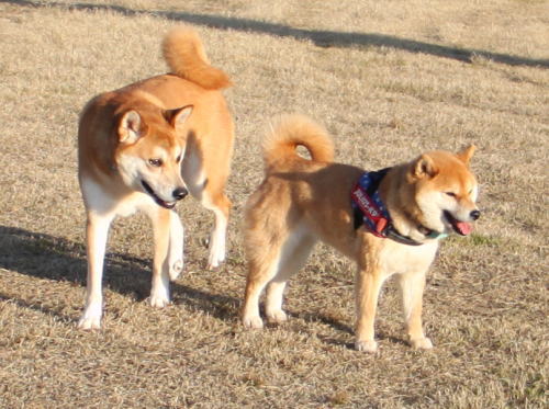 IMG_0282zoom.jpg