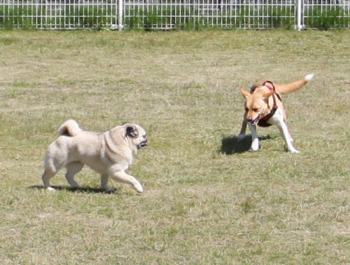 IMG_6777zoom.jpg