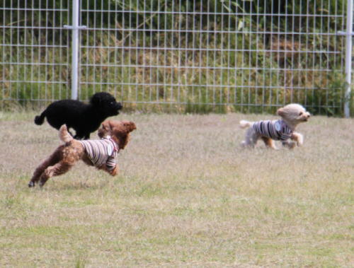 IMG_6791zoom.jpg